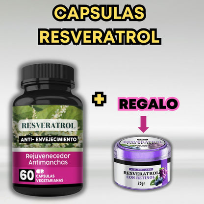 Mastershop Product Image